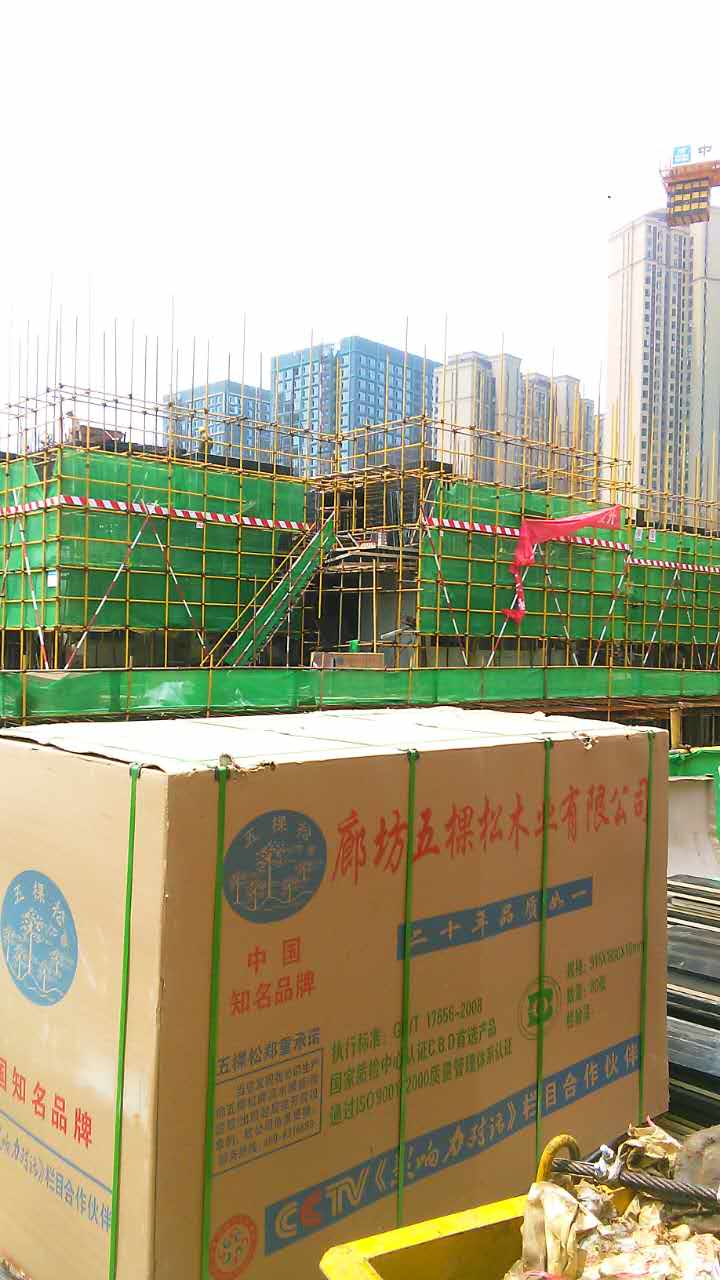 “五棵松牌”建筑模板走进武汉绿地中心项目