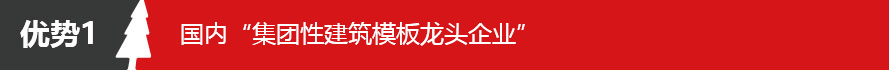 五棵松牌清水模板 大板 05